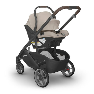 UPPAbaby CRUZ V3 + ARIA V2 Travel System in Ada