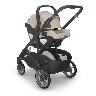 UPPAbaby CRUZ V3 + MESA V3 Travel System in Ada