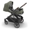 UPPAbaby CRUZ V3 + PiggyBack Bundle in Evelyn