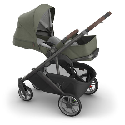 UPPAbaby CRUZ V3 + PiggyBack Bundle in Evelyn