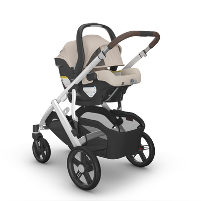 UPPAbaby Vista V3 + Mesa V3 Bundle in Declan