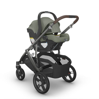 UPPAbaby VISTA V3 + MESA V3 + Upper Adapters + RumbleSeat V3 Bundle in Evelyn