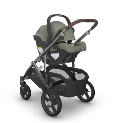 UPPAbaby VISTA V3 + MESA V3 Bundle in Evelyn