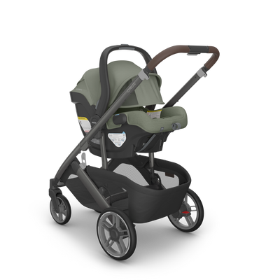UPPAbaby CRUZ V3 + MESA V3 Travel System in Evelyn