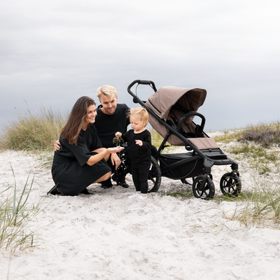 Thule Urban Glide 4-Wheel All Terrain Stroller