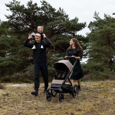Thule Urban Glide 4-Wheel All Terrain Stroller