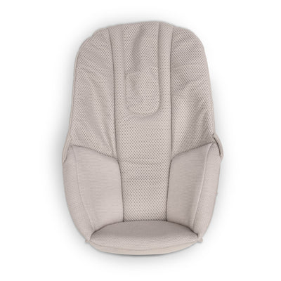 UPPAbaby Mira V2 3-in-1 Bouncer infant insert in Townsend