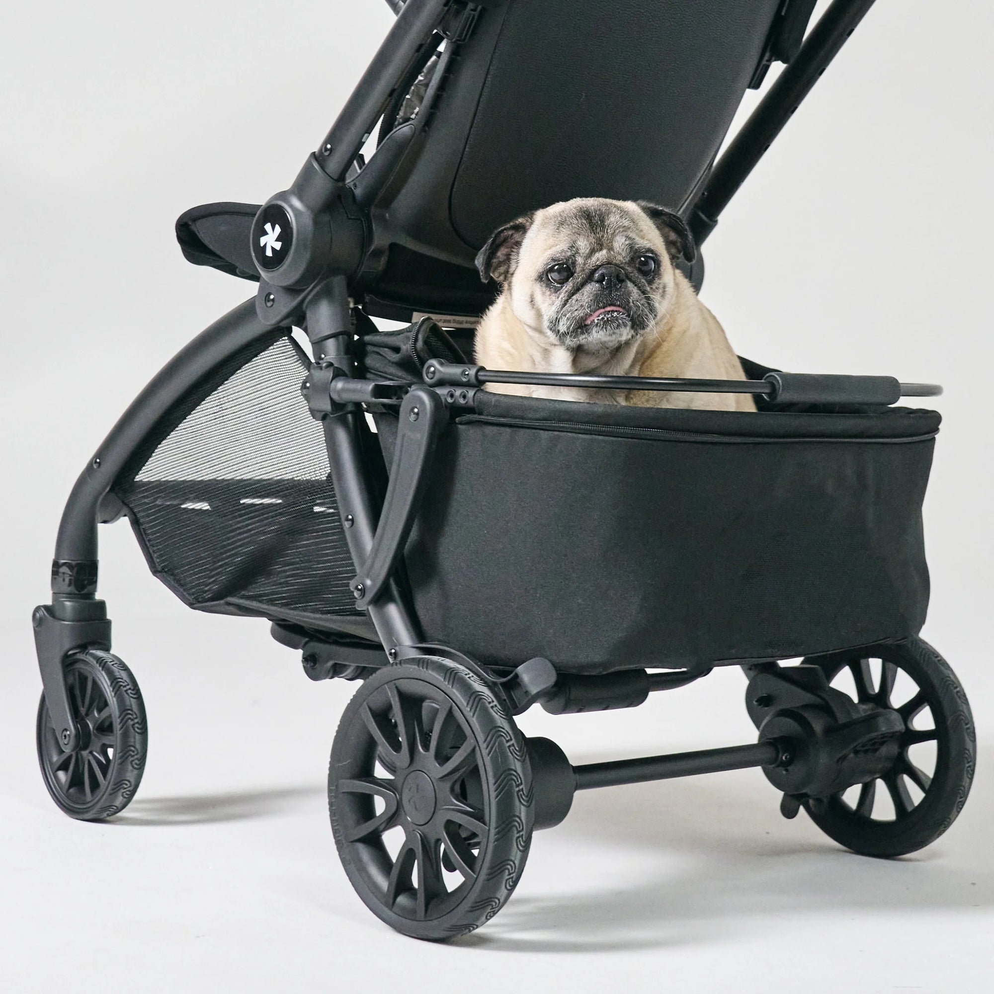 DFY. R1 Pet Basket