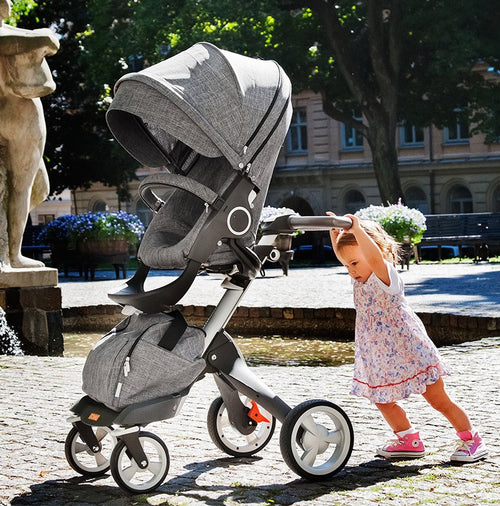 phil and teds voyager stroller weight
