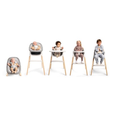 Nuna BRYN™ Newborn Rocker in Heritage