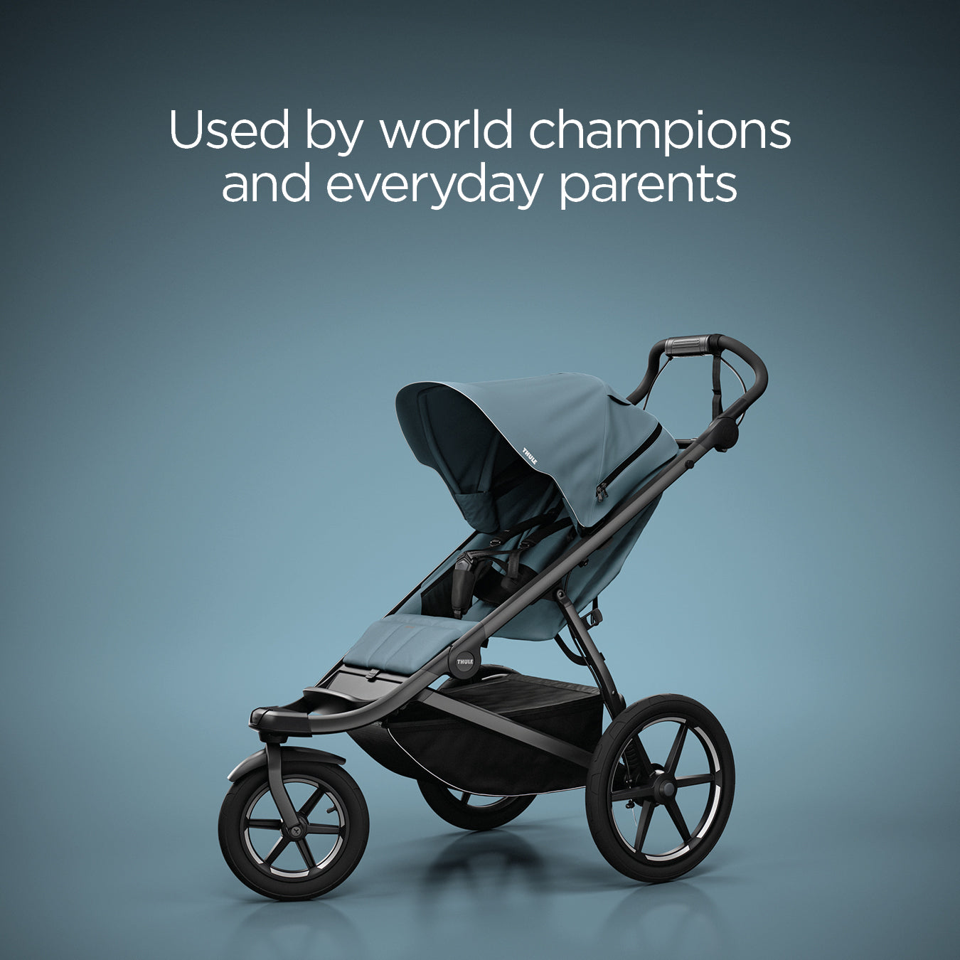 Thule Urban Glide 3 All Terrain Stroller