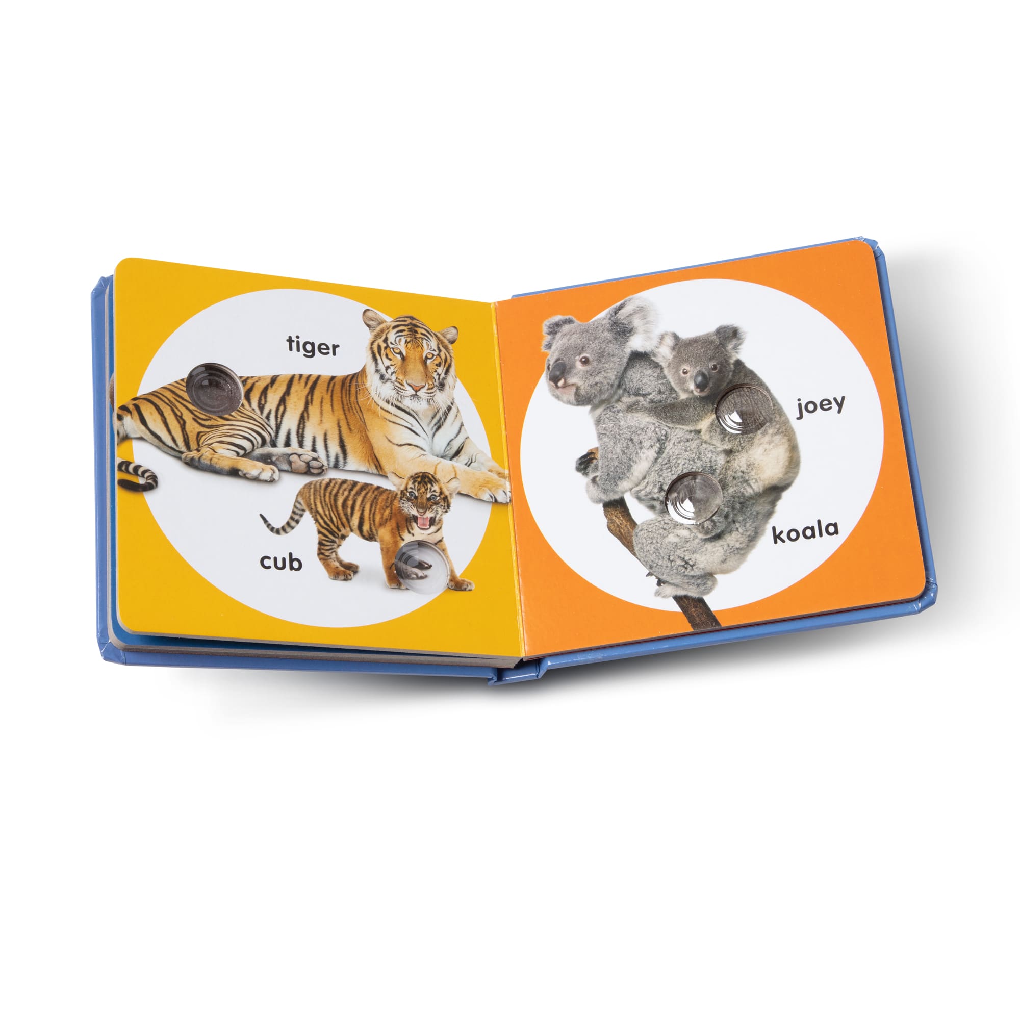 Melissa & Doug Poke-a-Dot: Wild Animal Families