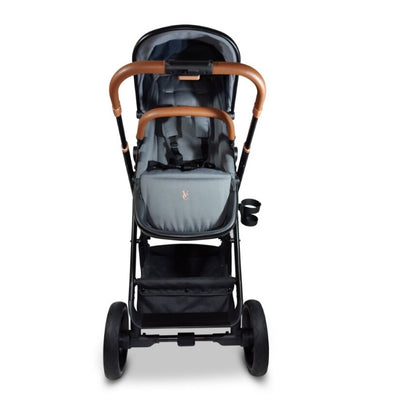 Venice Child Ventura Single to Double Sit-n-Stand Stroller- Package 1 in Shadow
