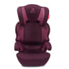Diono Everett NXT Booster in Plum